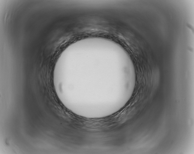 X0000095941253200801110847