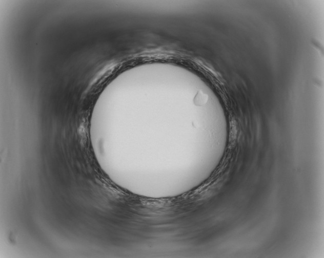 X0000095941254200801110847