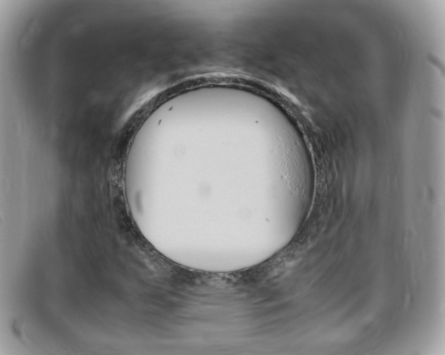 X0000095941255200801110847