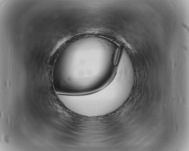 X0000095941256200801110847