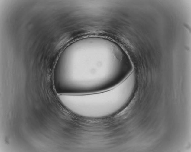 X0000095941257200801110847