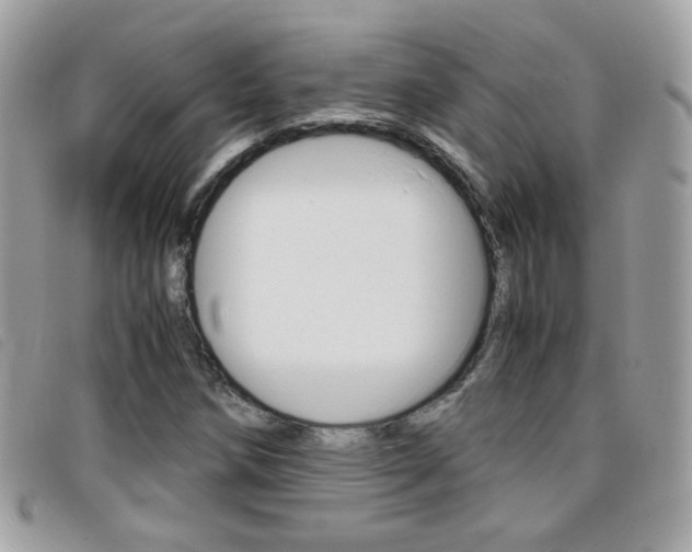 X0000095941258200801110847