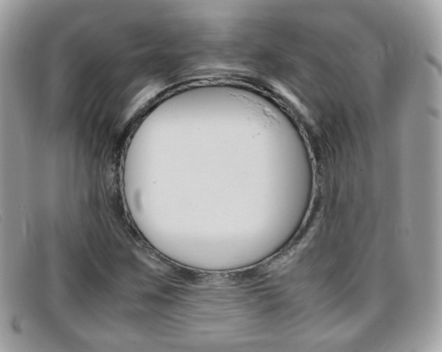 X0000095941259200801110847