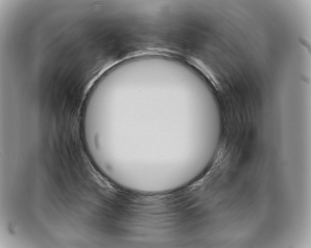 X0000095941260200801110847