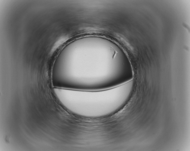 X0000095941261200801110847
