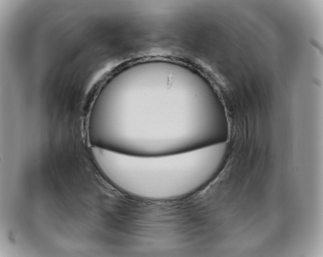 X0000095941262200801110847