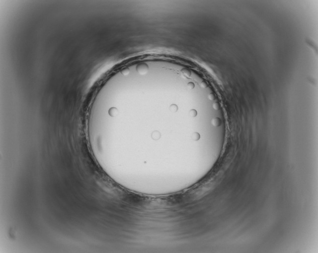 X0000095941263200801110847