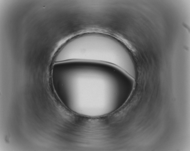 X0000095941264200801110847