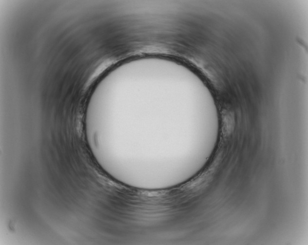 X0000095941266200801110847