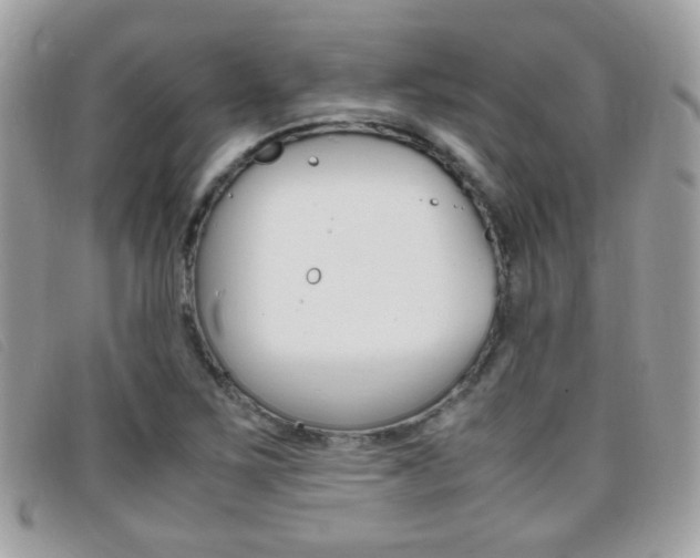 X0000095941267200801110847