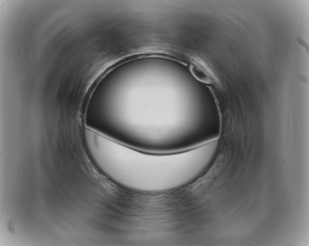 X0000095941268200801110847