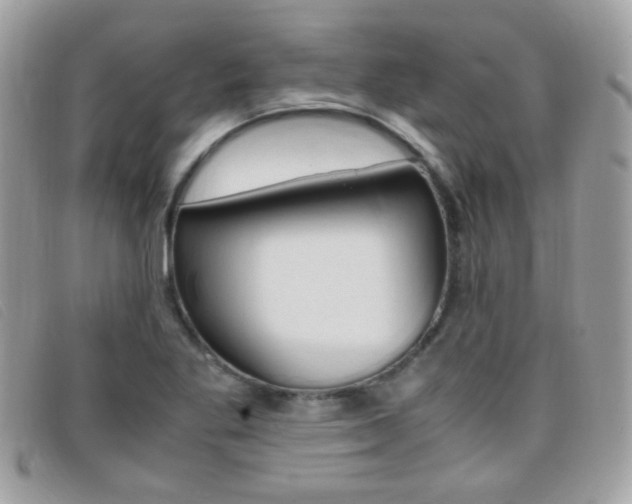 X0000095941269200801110847