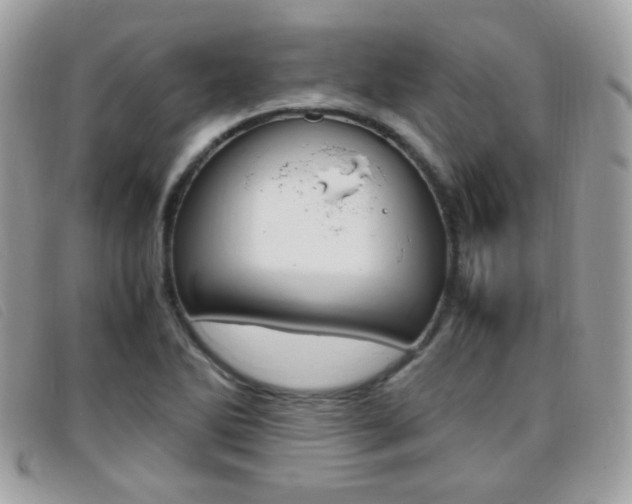 X0000095941270200801110847