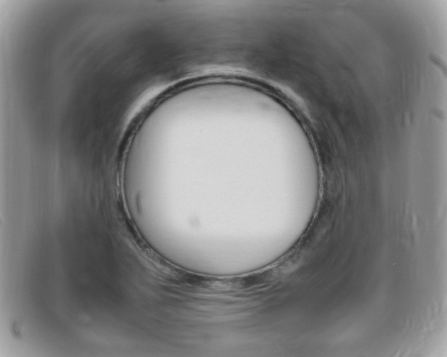 X0000095941271200801110847