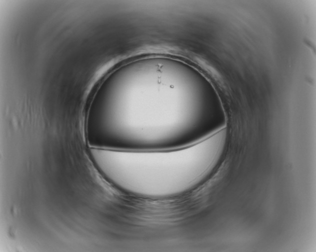 X0000095941272200801110847