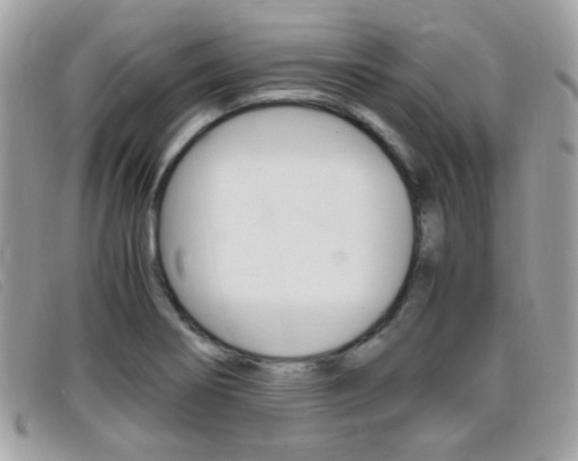 X0000095941274200801110846