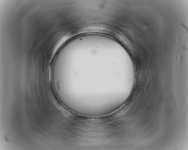 X0000095941275200801110846