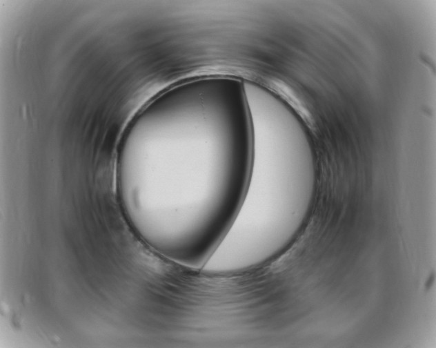 X0000095941276200801110846