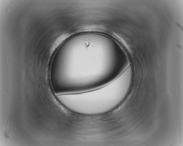 X0000095941277200801110846