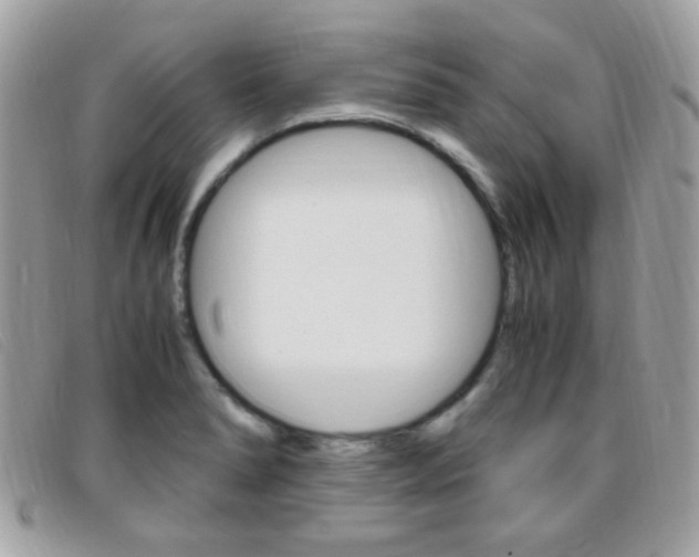 X0000095941278200801110846