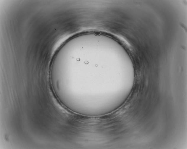 X0000095941279200801110846