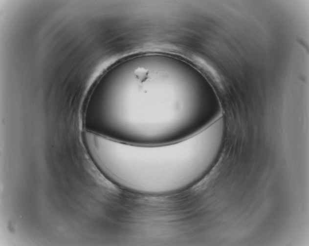 X0000095941280200801110846