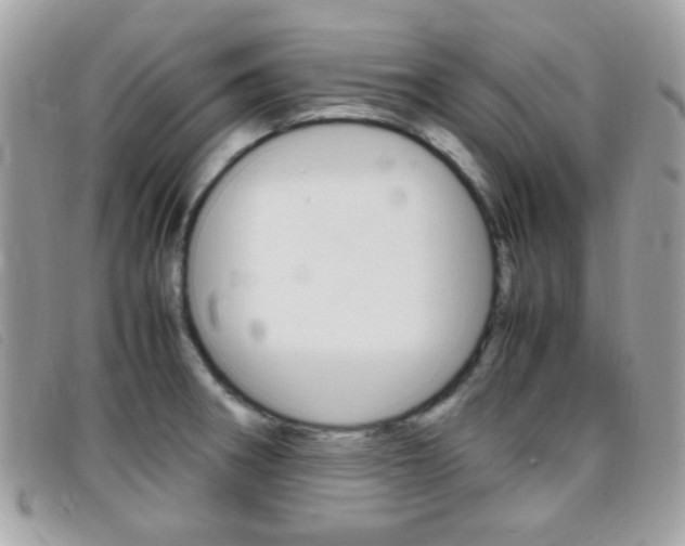 X0000095941282200801110846