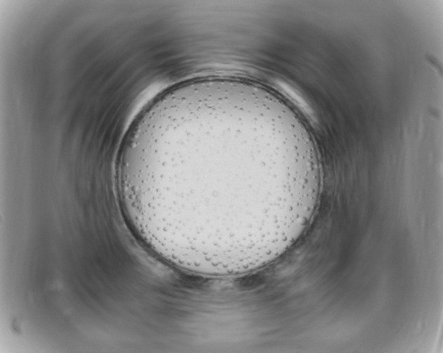 X0000095941283200801110846