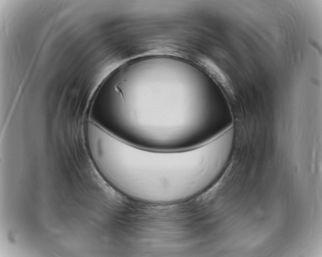X0000095941284200801110846
