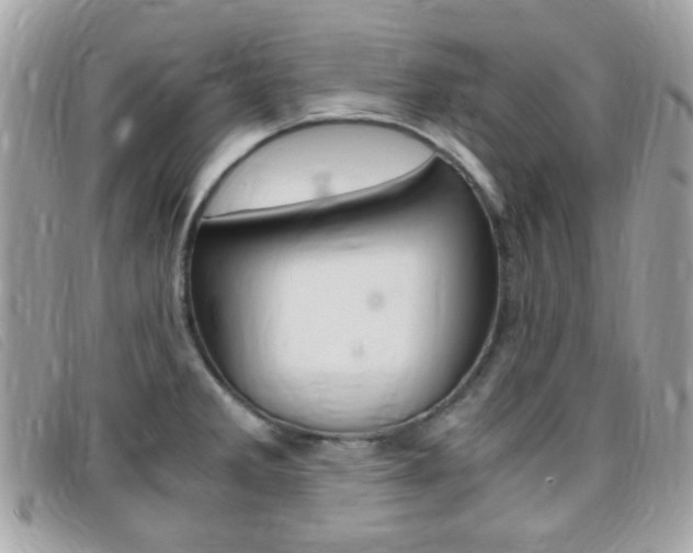 X0000095941285200801110846
