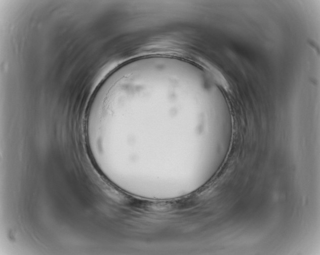 X0000095941291200801110846