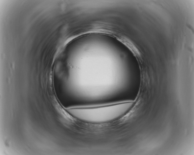 X0000095941292200801110846