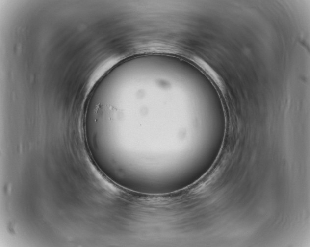 X0000095941293200801110846