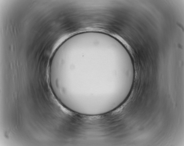X0000095941294200801110846