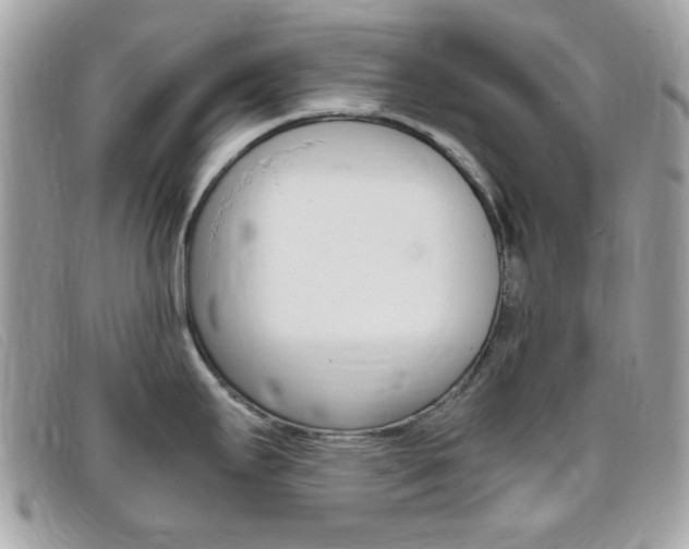 X0000095941295200801110846