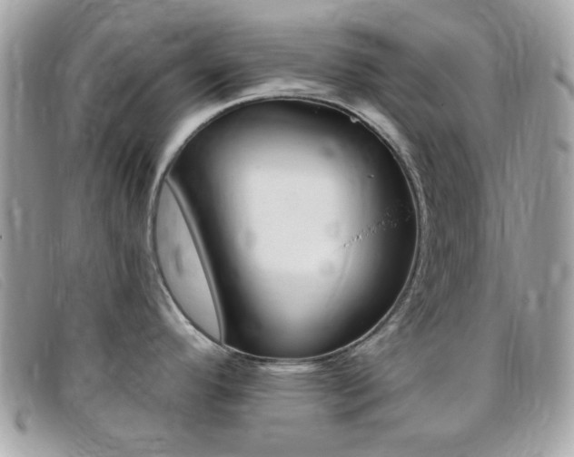 X0000095941296200801110846