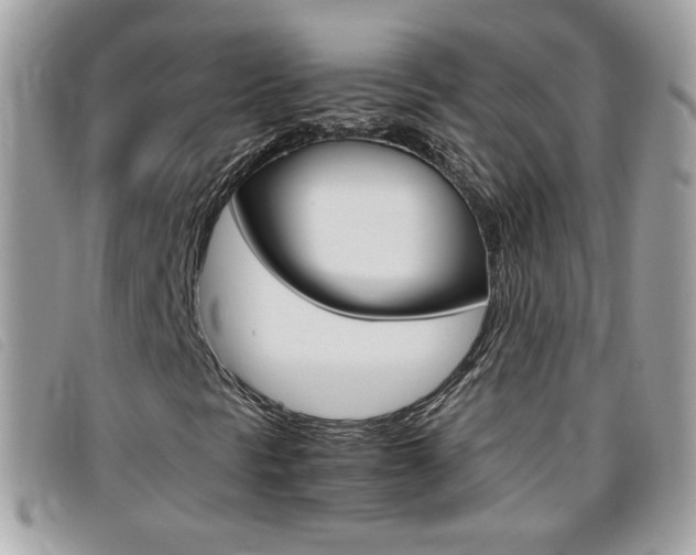 X0000095941297200801110846