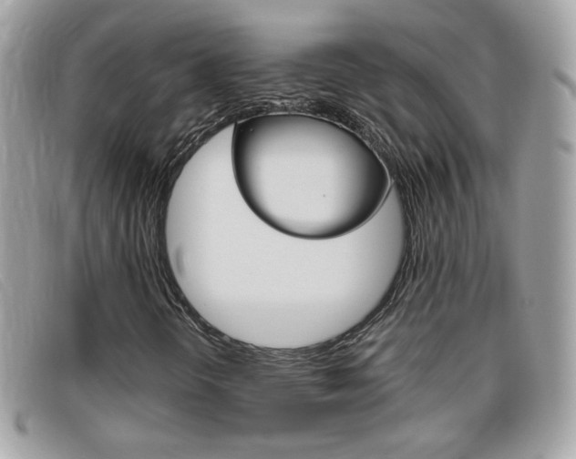 X0000095941298200801110846