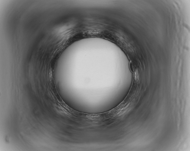 X0000095941299200801110846