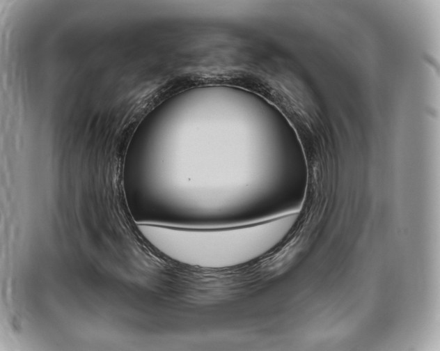 X0000095941300200801110846