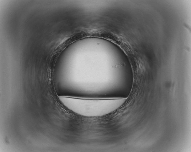 X0000095941301200801110846