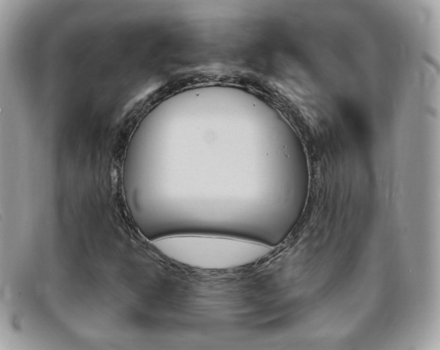 X0000095941302200801110846