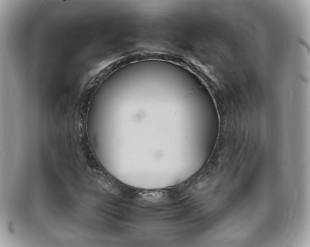X0000095941303200801110846