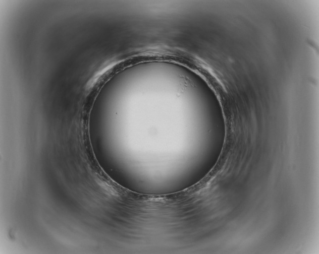 X0000095941304200801110846