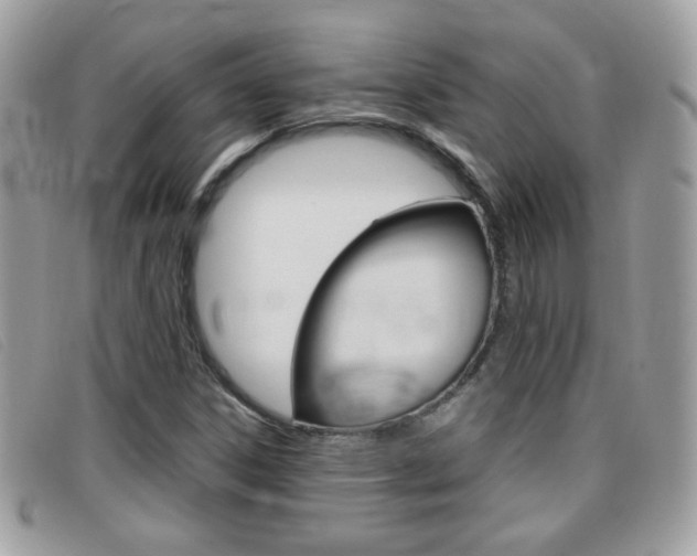 X0000095941306200801110846