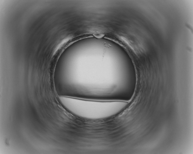 X0000095941307200801110846