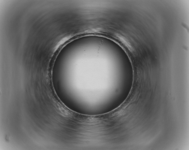 X0000095941308200801110846