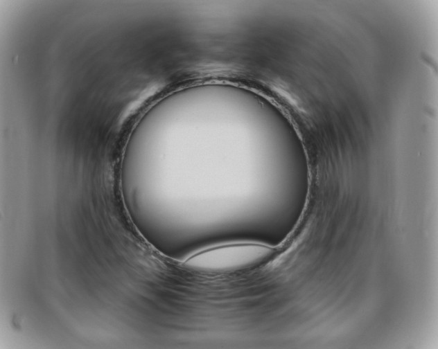 X0000095941309200801110846
