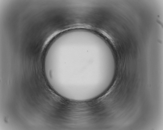 X0000095941310200801110846