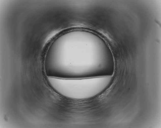 X0000095941311200801110846